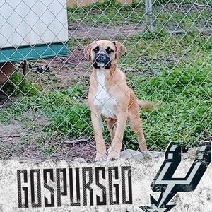 Meet your Posher, Ronald